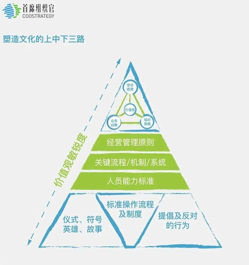 硬科技 企业需要 硬组织